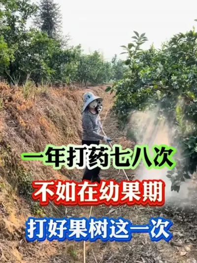 果树一年打药七八次，都不如打好这一次#果树种植 #果树管理 #果园管理