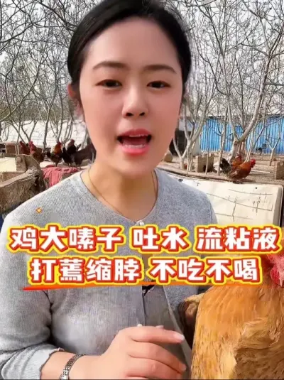 鸡大素子吐水口流粘液，打蔫缩脖不吃不喝，零星挂掉怎么办 #科学养鸡 #鸡鸭鹅养殖 #鸡病防治 #养殖小妙招 #服务三农支持三农