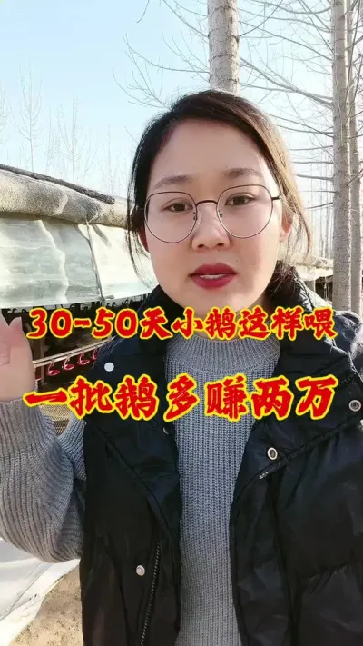 30天～50天小鹅这样喂，一批多赚两万#养鹅 #养鹅人 #鹅 #养鹅技术分享 #三农流量扶持计划