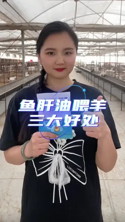 鱼肝油#鱼肝油 #养羊创业 #养羊人#养羊技术分享