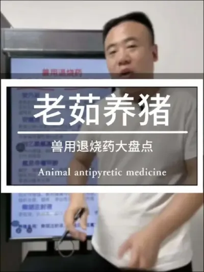 兽用退烧药这么多，你们都用的哪几种？#兽药 #养猪技术 #创作灵感#养猪知识分享