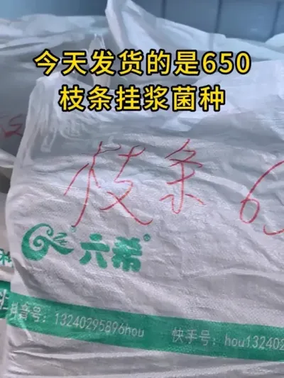 今天打包发货云南基地，防撞网，气垫，给菌种一个坚固的堡垒，安全送到您手上。#平菇种植 #平菇菌种 #食用菌栽培种 #栽培种