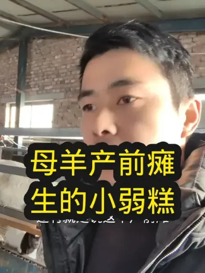 #养羊 #养羊技术分享 #养羊技术 #农村养羊