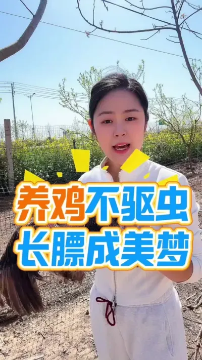 养鸡不驱虫长膘成美梦#养鸡#鸡驱虫#鸡病防治#科学养鸡#养鸡妙招