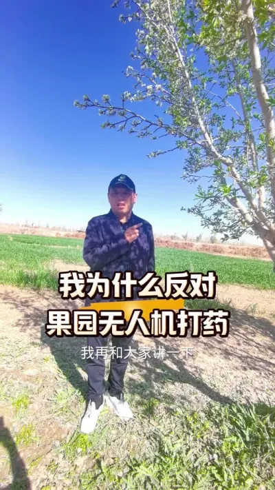 我为什么反对果园无人机打药#无人机打药#农田行者#农田行者技术服务联盟#西梅种植#