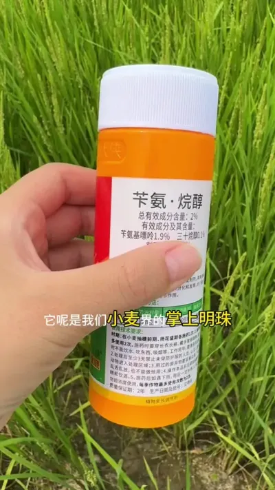 小麦膨大剂你选对了吗 #小麦种植 #小麦增产增收叶面肥 #小麦膨大剂 #苄氨烷醇
