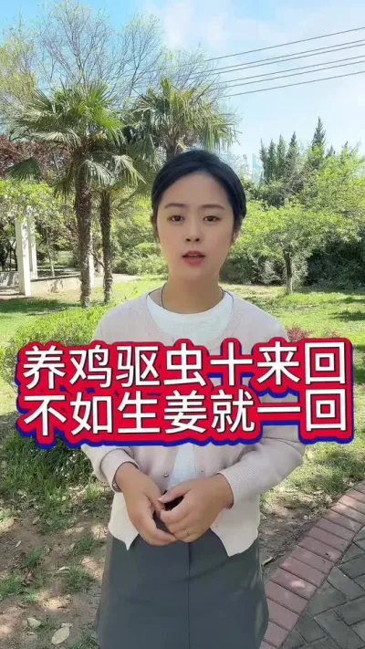 #科学养鸡 #养鸡人 #抖音养鸡人 #养殖小妙招 #养鸡妙招