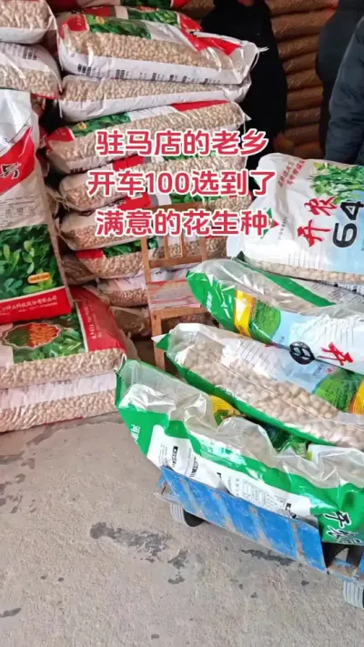 开车100公里选到了满意的花生种#抖音助农扶农 #农业种植 #助农扶农 #花生 #农民不易