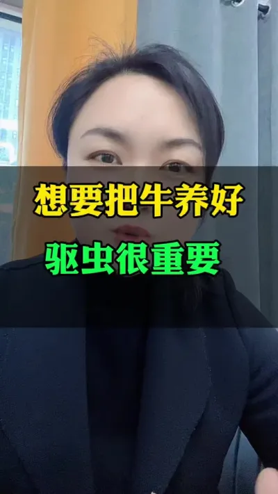 想要养好牛，驱虫很重要#肉牛养殖 #全国养牛人 #西门塔尔 #养殖户 #西门塔尔母牛