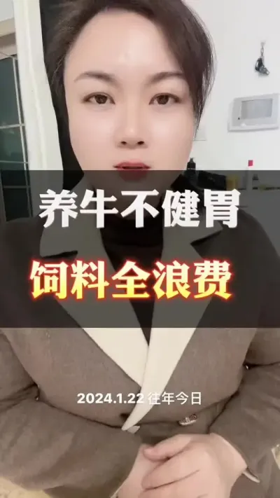 养牛不建胃，饲料都浪费#养殖户 #肉牛养殖 #全国养牛人 #西门塔尔 #科学喂养