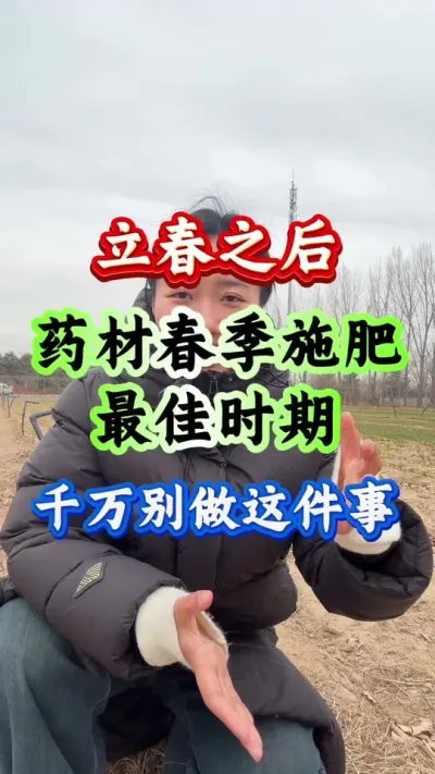 药材种植 立春之后药材春季施肥最佳时期千万别做错这事 #药材高产 #药材种植 #白术种植