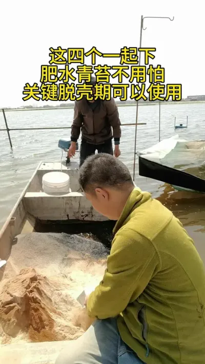 少量青苔的处理方案，没有青苔的预防发那方法，还能肥水 #水产养殖 #河蟹养殖