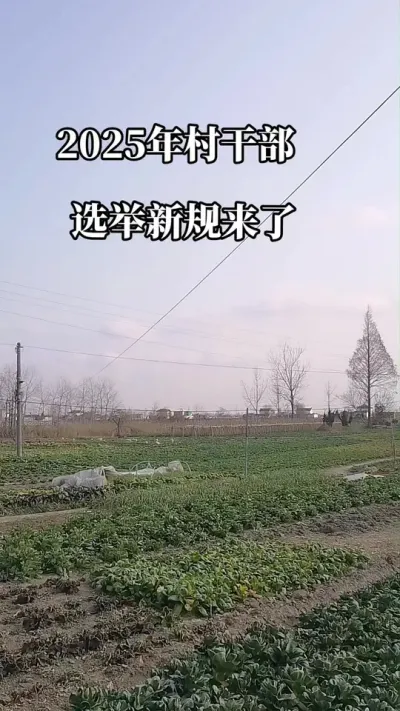 #2025年村干部选举新规来了#村干部选举#大学生村官#服务三农支持三农