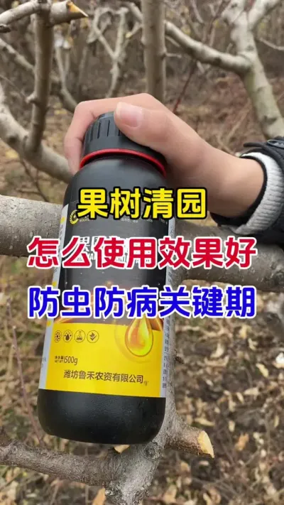 果树清园剂怎么用效果好#果树种植#果树清园#清园剂#病虫害防治#果园管理