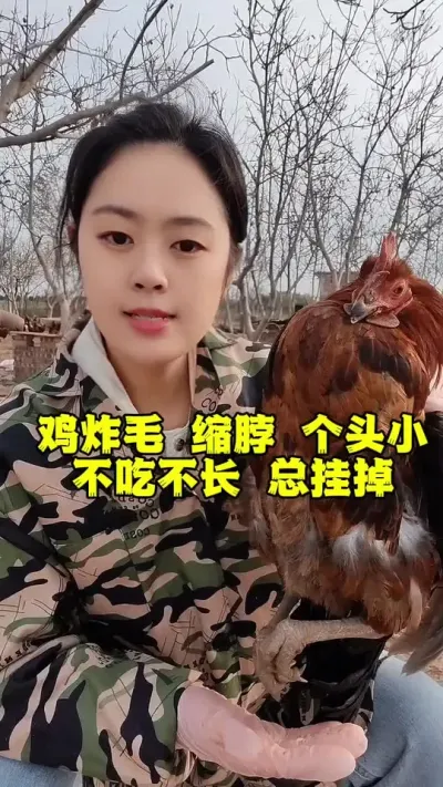 鸡炸毛缩脖消瘦不吃食不长肉总是挂掉怎么办#鸡病防治 #散养土鸡#科学养鸡#鸡鸭鹅养殖