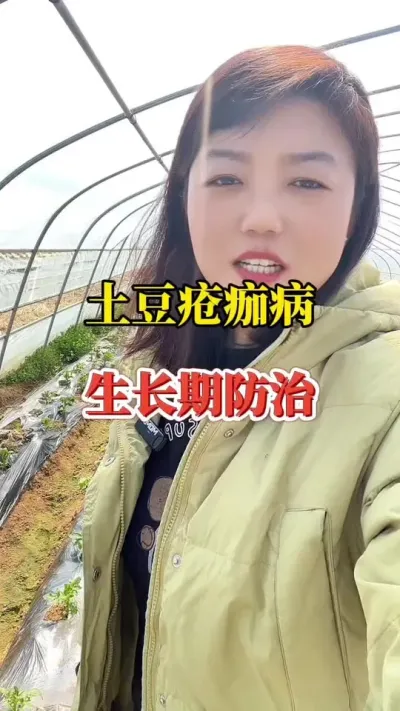 #种植小技巧 #马铃薯 #种土豆 土豆疮痂病的预防#土豆高产种植