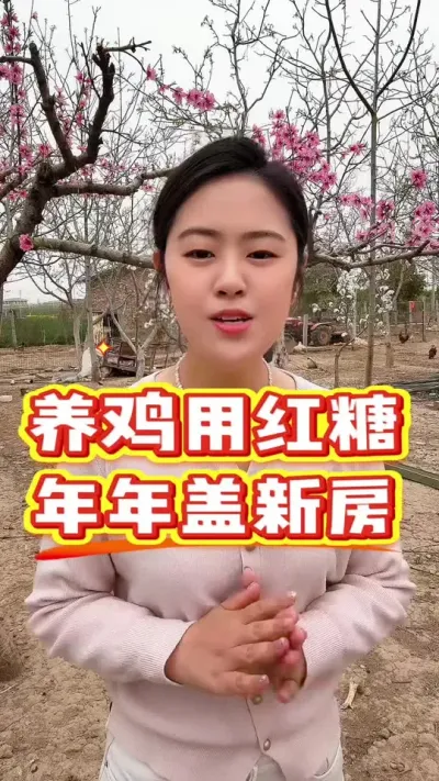 养鸡用红糖年年盖新房 #服务三农支持三农 #鸡病防治 #科学养鸡 #养殖小妙招 #农村散养土鸡