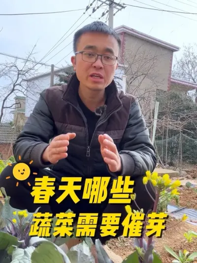春天哪些蔬菜需要催芽播种？又怎么催芽？#关注我一起学种菜 #我的小菜园 #种植小技巧 #我爱种菜 #种菜