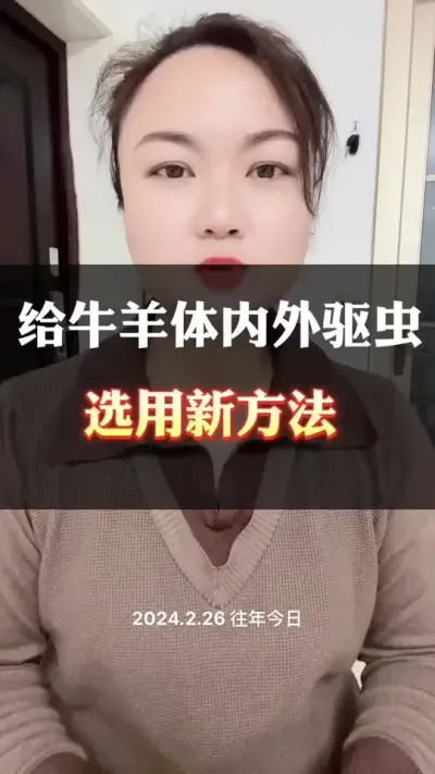 牛羊体内外驱虫#科学喂养 #养殖户 #肉牛养殖 #科学养殖 #繁殖母牛