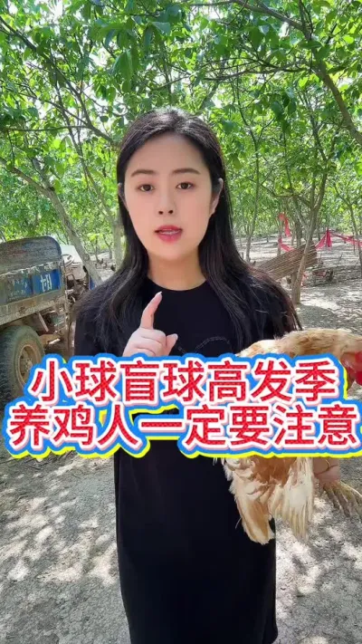 #养鸡#科学养鸡#养鸡妙招#散养土鸡#鸡鸭鹅养殖