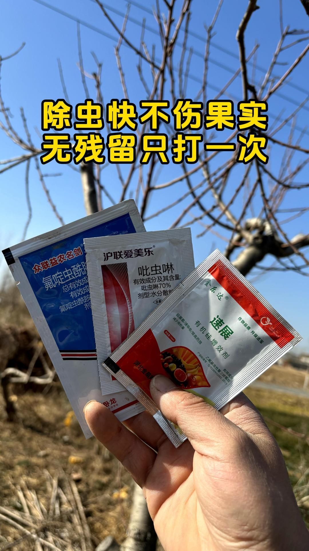 http://static.ixuenong.com/pxn/uploads/prod/thirdfile/2025/05/6436a0800d1ac866e552a895f585eb87.jpg