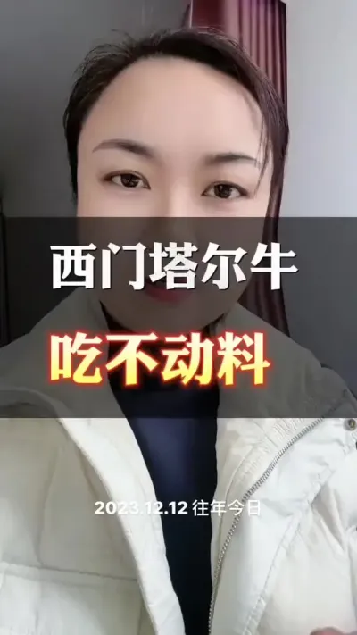 育肥牛后期吃不动料#科学喂养 #养殖户 #肉牛养殖 #全国养牛人 #西门塔尔