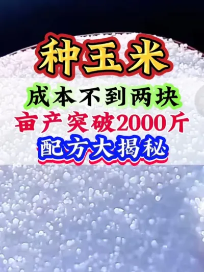 成本不到两块，亩产突破2000斤，配方大揭秘#玉米 #玉米种植 #玉米高产 #玉米管理 #种玉米