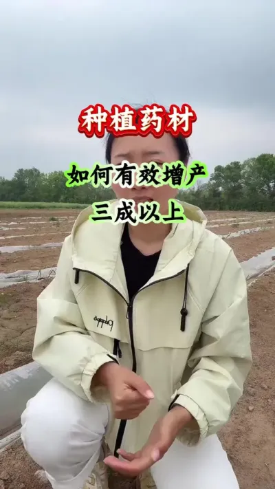 药材种植 种植药材如何有效增产三成以上 #药材种植 #药材管理 #药材高产