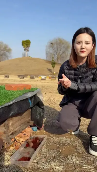 #养蜂技术分享 #蜂农 #蜜蜂🐝