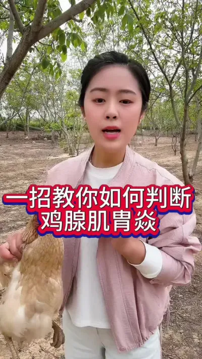 一招教你如何判断鸡腺肌胄焱 #养鸡#鸡病防治#科学养鸡#散养土鸡#养鸡妙招