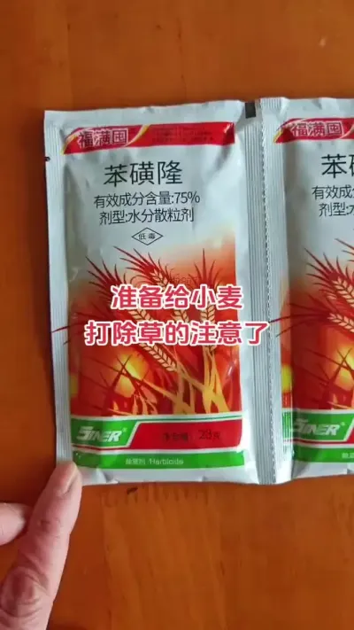 收完小麦准备种花生黄豆🍉烟叶🌶芝麻红薯的这个除草不能用#农业种植 #农业人 #抖音助农扶农 #服务三农 #诚信经营