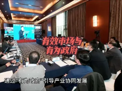 有效市场与有为政府协同治理：破解经济内卷的制度逻辑@云食界展贸服务平台