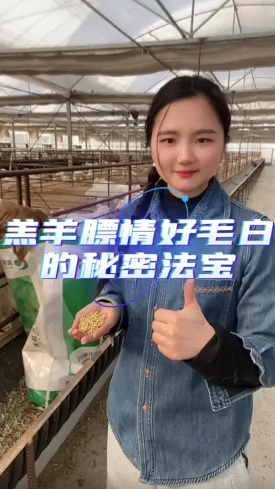羊羔开口料#羊羔开口料 #开口料