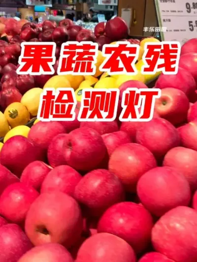 又带着我的蔬菜检测灯来到了菜市场，这个就厉害了！瓜果蔬菜有没有农残，有没有高科技防腐剂浸泡过，用它一照就一目了然，如果有这种蓝色斑斑点点，就代表有农药残留，赶紧放下别买，如果瓜果蔬菜长时间存放变质，用