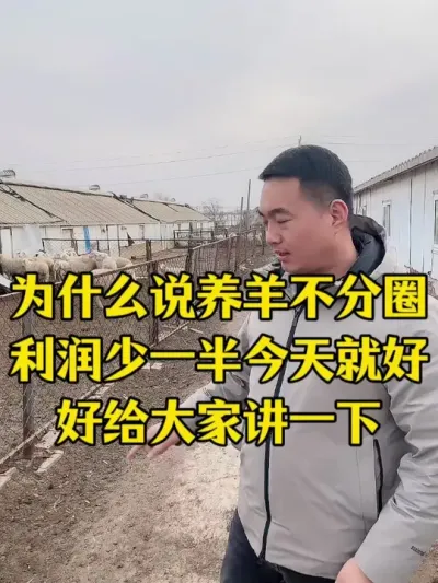 养羊不分圈 利润少一边 #农村养牛羊  #记录农村养牛人的日常生活  #养羊致富秘诀