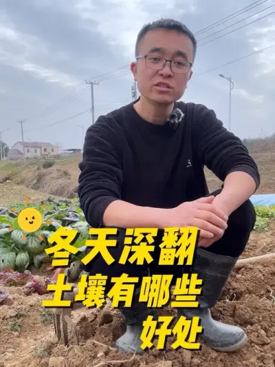 冬天深翻土壤有哪些好处？#关注我一起学种菜 #种植小技巧 #我的小菜园 #记录我的种植生活 #田园生活