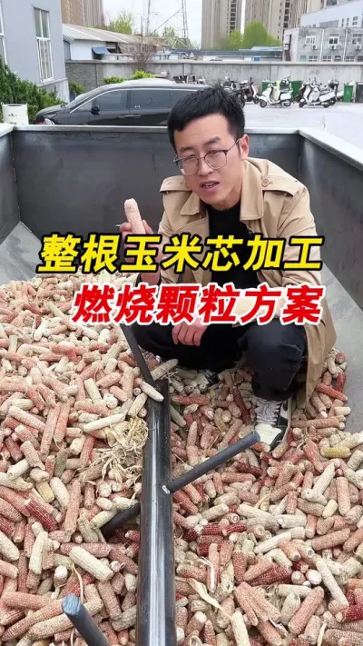 整根玉米芯不粉碎直接加工燃烧颗粒，看看这一套时产2吨燃烧颗粒搭配方案。#颗粒机 #生物质颗粒机 #燃烧颗粒