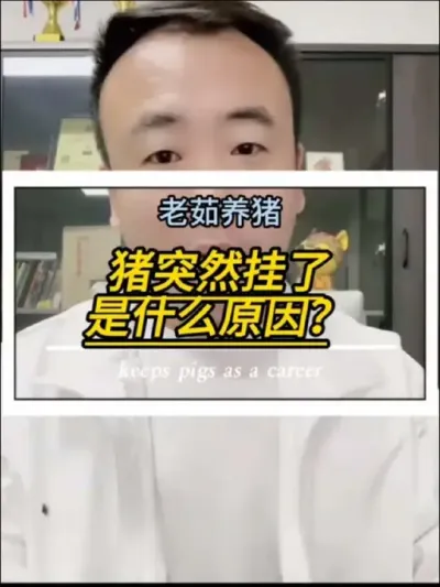 猪突然挂了，是什么原因？
#养猪人 #养猪人不容易 #创作灵感#经验分享