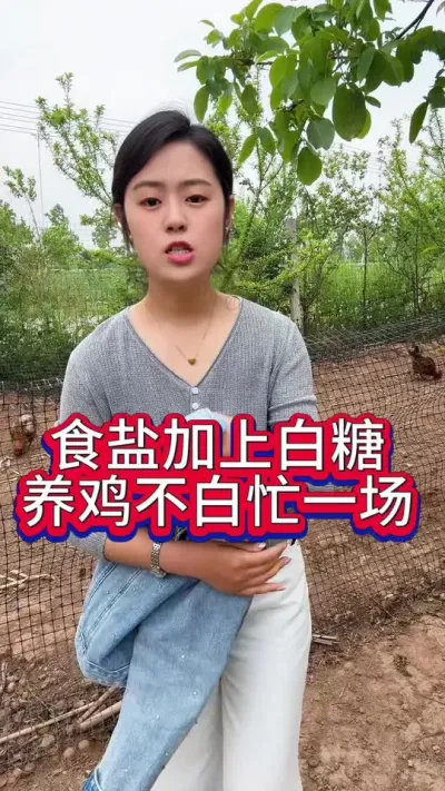 白糖加食盐让你养鸡不白忙活一场#科学养鸡 #服务三农支持三农 #抖音养鸡人 #散养土鸡 #养鸡人