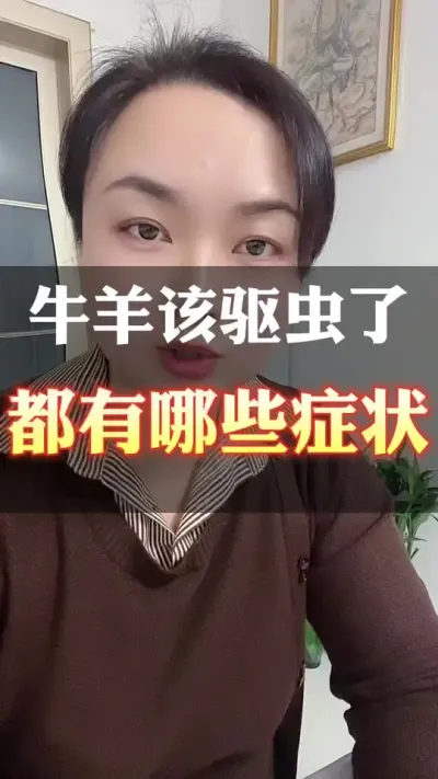 牛羊该驱虫了，都有哪些症状#全国养牛人 #肉牛养殖 #科学养殖 #养殖户 #科学喂养