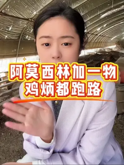 阿莫西林加一物，鸡病全跑路 #鸡鸭鹅养殖 #鸡病防治 #科学养鸡 #服务三农支持三农 #养殖小妙招