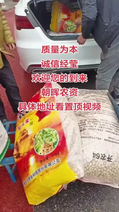 下雨也挡不住选花生种的热情#抖音助农 #三农 #花生 #农业 #花生种植
