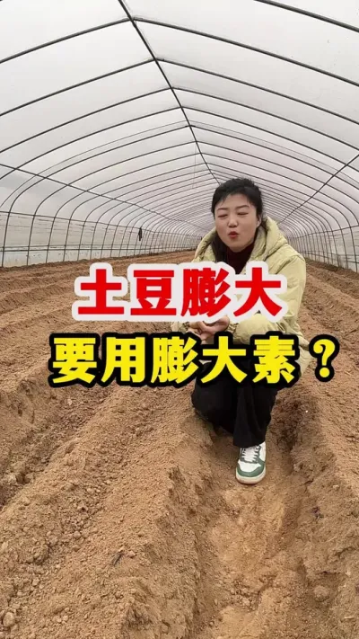 土豆要膨大必须要用膨大素吗#土豆高产种植 #土豆 @抖音小助手