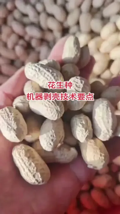 #花生 #抖音助农 #新农人 #种植 #朝晖农资