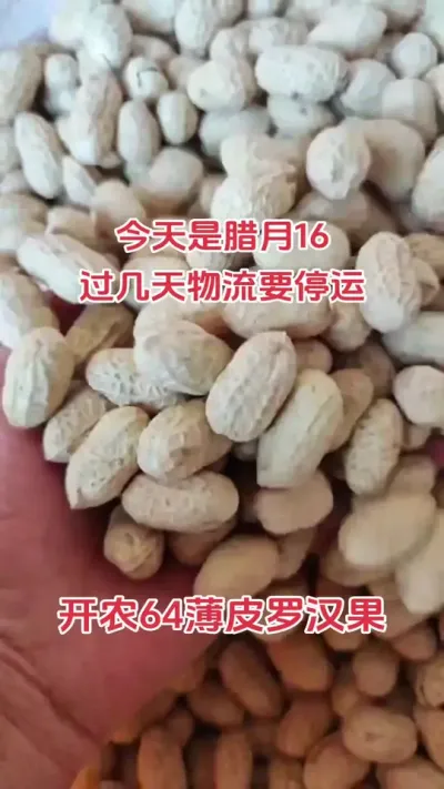 需要花生种的老乡注意了#抖音助农 #农业人 #花生 #农业种植技术 #新农人计划