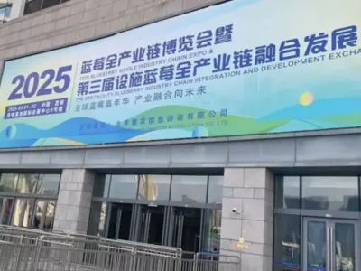 (45) 中国蓝莓产业崛起：从追随者到全球领导者的蜕变之路@云食界展贸服务平台