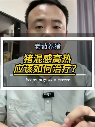 猪混感高热应该如何治疗？今天给大家一个合理有效的方案，觉得可以的点赞收藏下。#养猪人 #创作灵感#养猪技术 #养猪知识分享