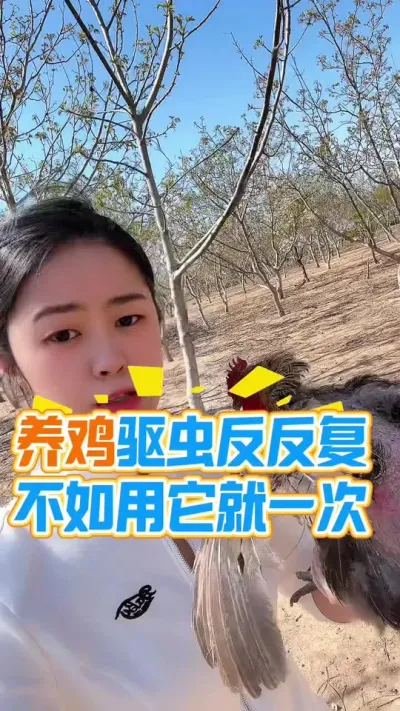 养鸡驱虫反反复不如用它就一次 #养鸡#鸡驱虫#科学养鸡#养鸡妙招#散养土鸡