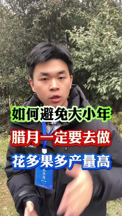 果树大小年如何正确避免#果树种植 #果树管理 #果园管理