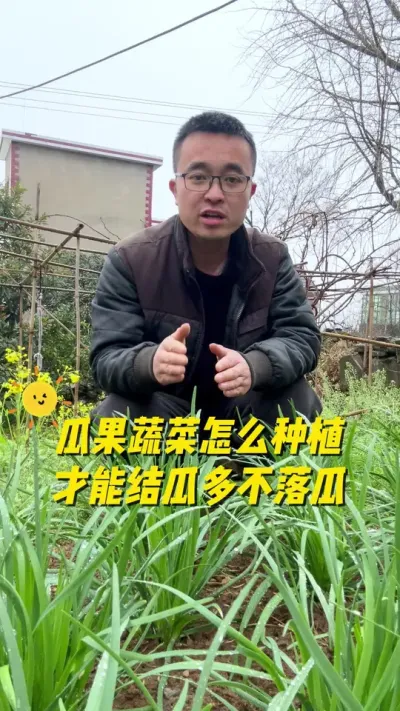 瓜果蔬菜怎么种植才能结瓜多？不落瓜？瓜果蔬菜为什么落瓜？#关注我一起学种菜 #学种菜 #我的小菜园 #我爱种菜 #每天分享蔬菜种植技巧
